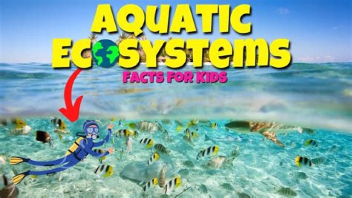 What is a aquatic?