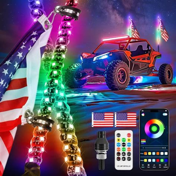 What is a whip instrument?