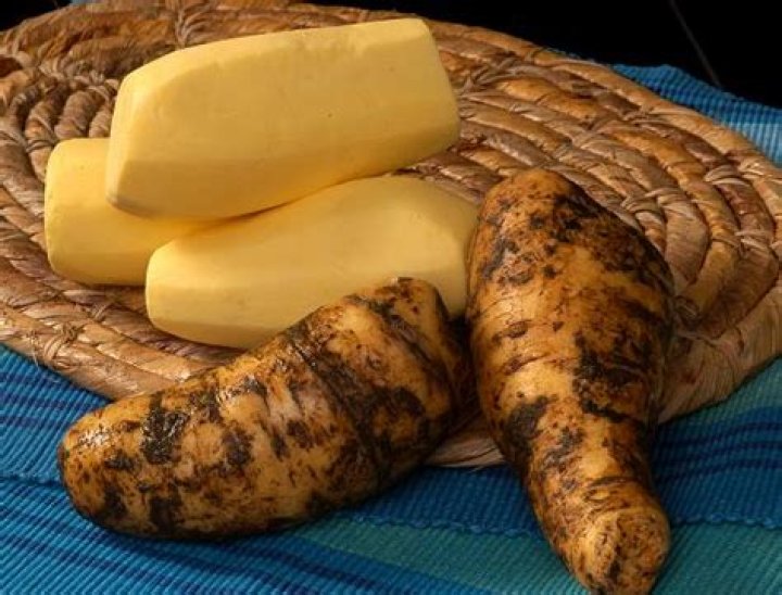 What is arracacha in english?