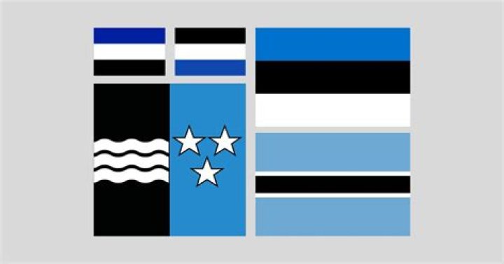 What is black and blue flag?