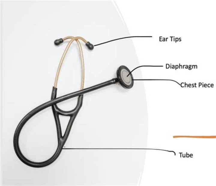What is earpieces made of?