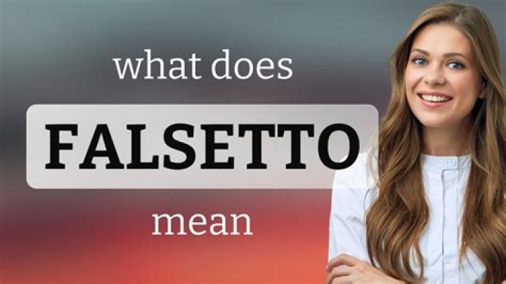 What is falsetto mean?