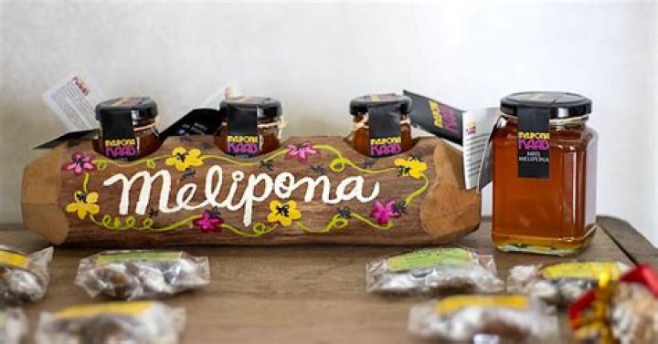 What is melipona honey?
