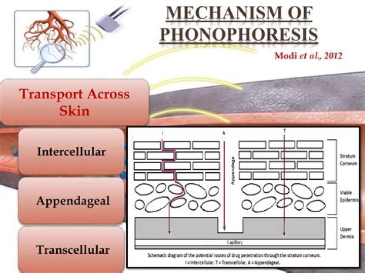 What is phonophoresis in physical therapy?