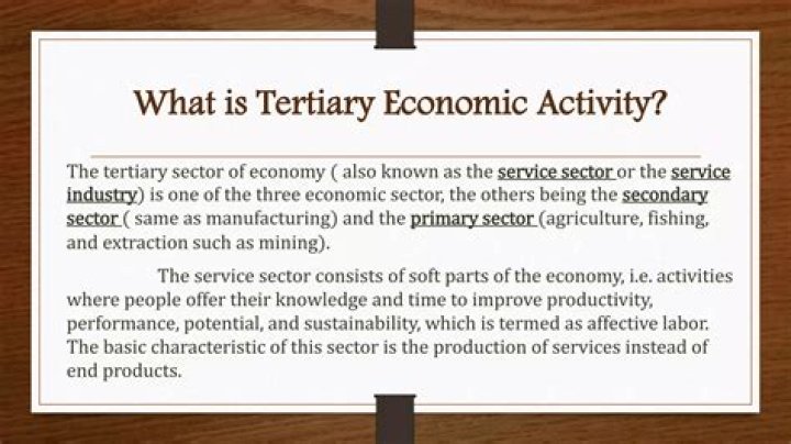 What is the definition of tertiary economic activity?