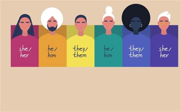 What is the meaning of he/him?