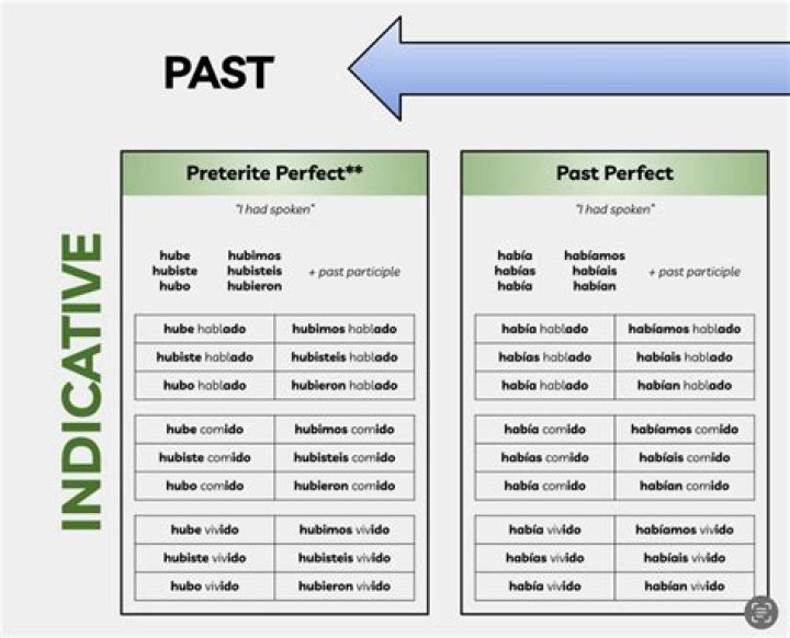What is the preterite of devolver?