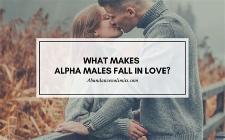 What makes Alpha males fall in love?