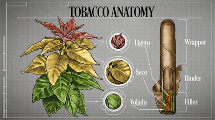 What recipes use Indian tobacco?