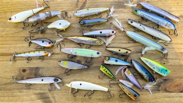 Whats a topwater lures?