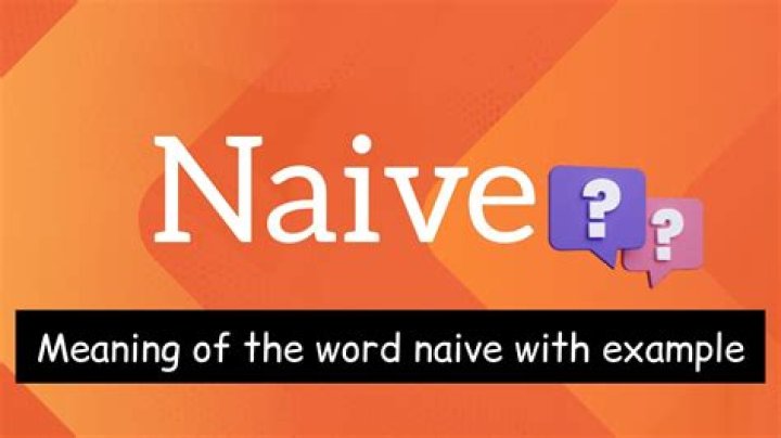 Whats d meaning of naive?
