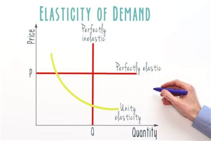 What's elasticity in economics?