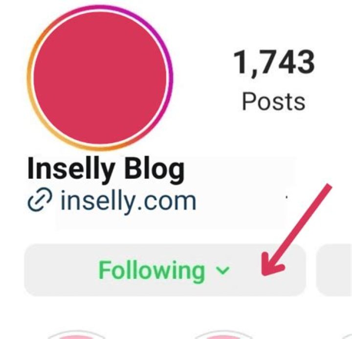 Whats follow back mean on Instagram?