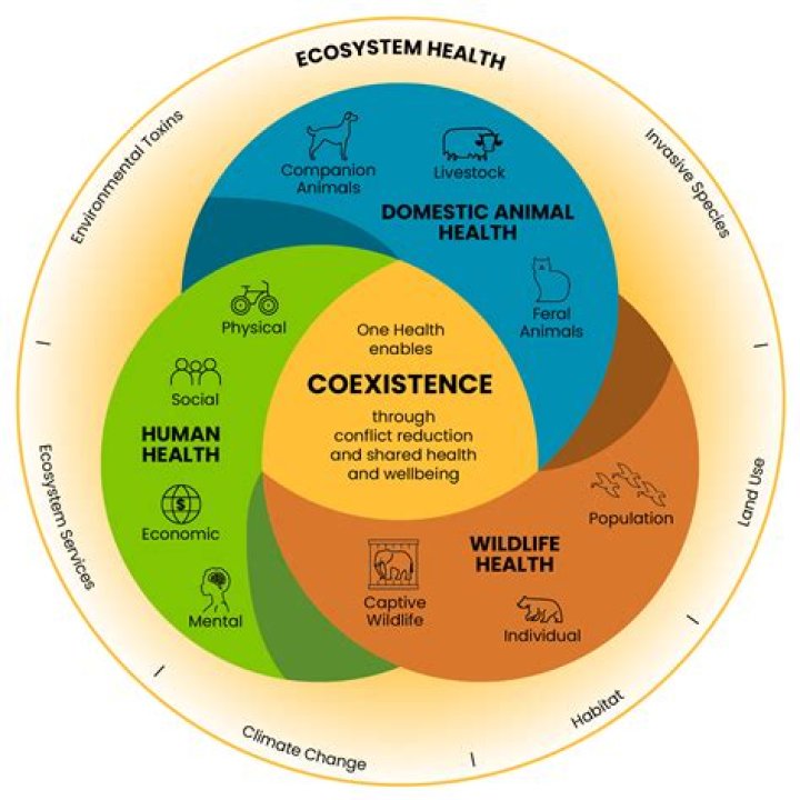 Whats the definition of coexistence?