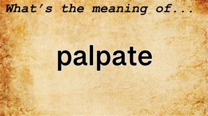 Whats the definition of palpate?