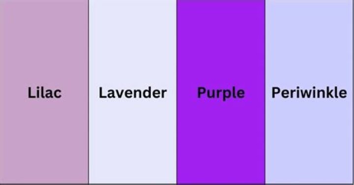 Whats the difference between periwinkle and lavender?