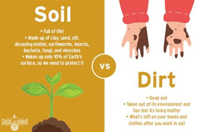 Whats the difference between soil and dirt?