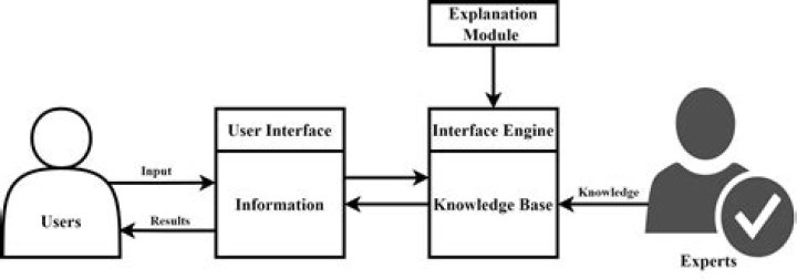 When a naive purchaser relies on the opinion of an expert?