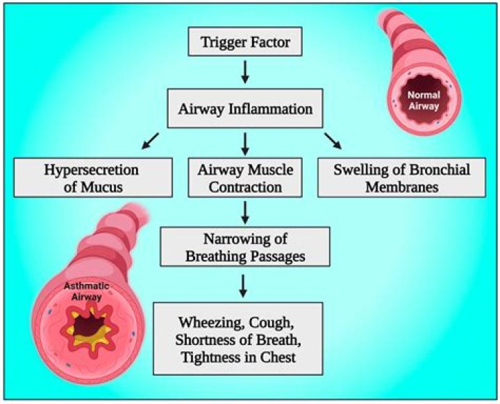 When does bronchospasm occur?