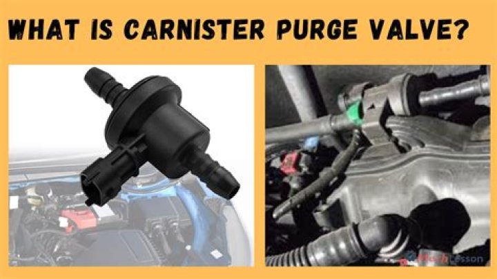 When does the canister purge valve open?