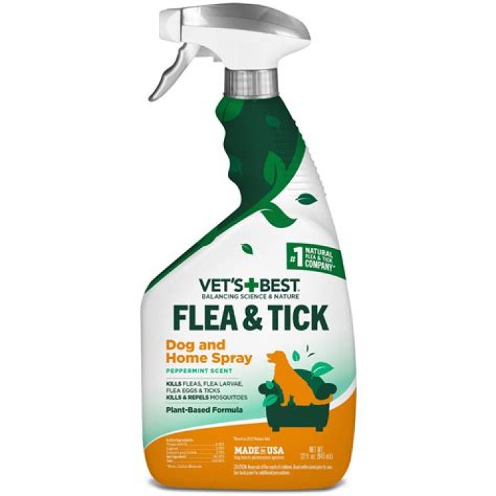 When to spray flea?
