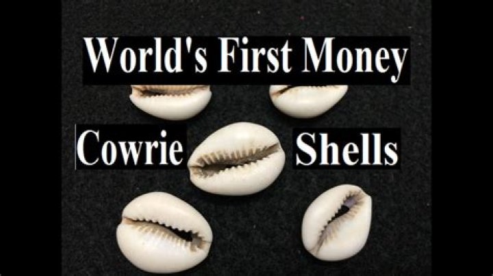 When were cowrie shells used?