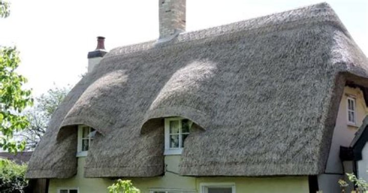 When were thatched roofs invented?