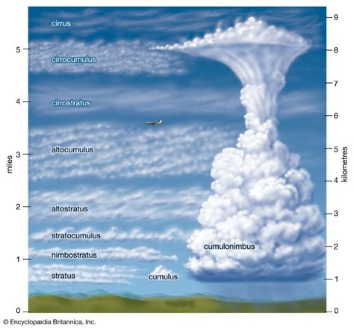 Where are altostratus clouds located?