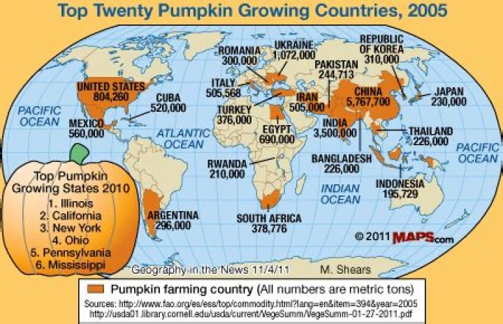 Where are pumpkins found?