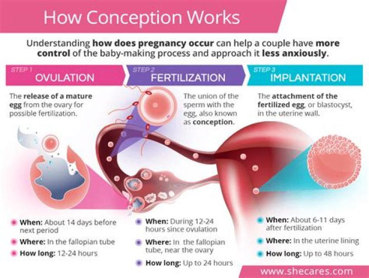 Where did preconception come from?