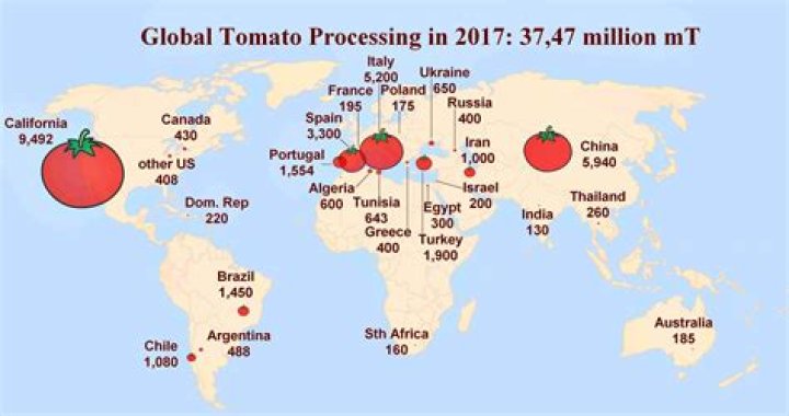Where did tamales originally come from?