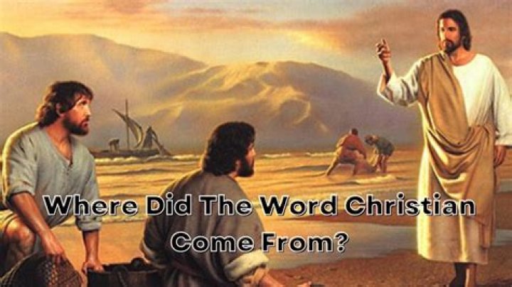 Where did the word obstinacy come from?