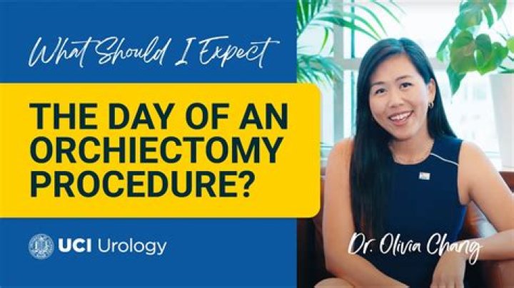 Where did the word orchiectomy come from?