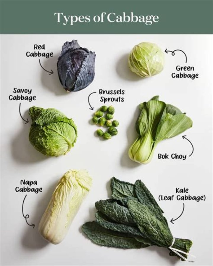 Where do cabbage come from?