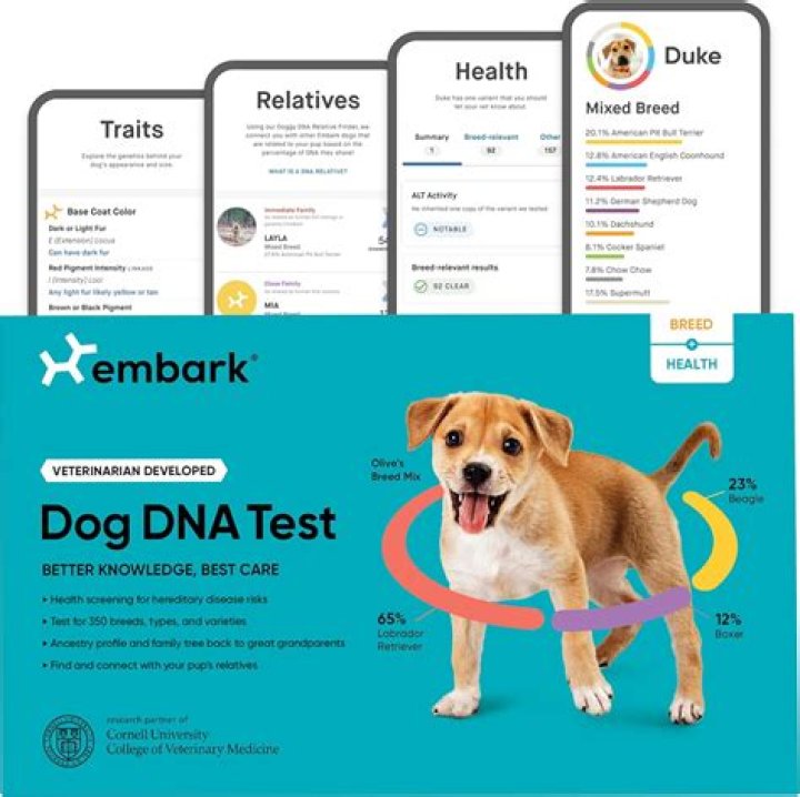 Where is embark dna located?
