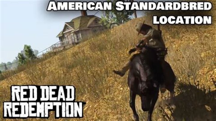Where is the black American Standardbred in rdr2?
