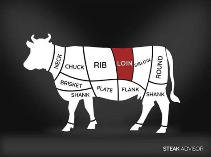 Where is the loin on venison?