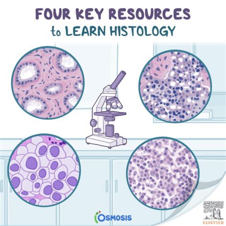 Where to learn histology?