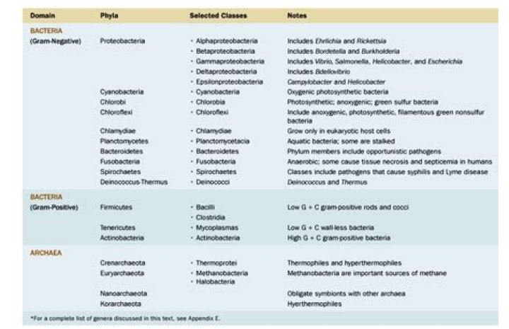 Which alphaproteobacteria is associated with tumors in plants?