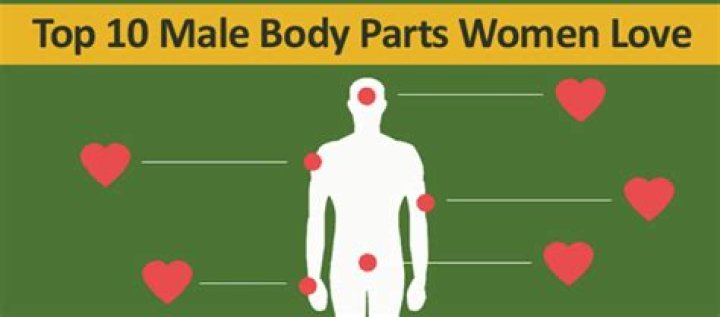 Which body part of male attracts female?