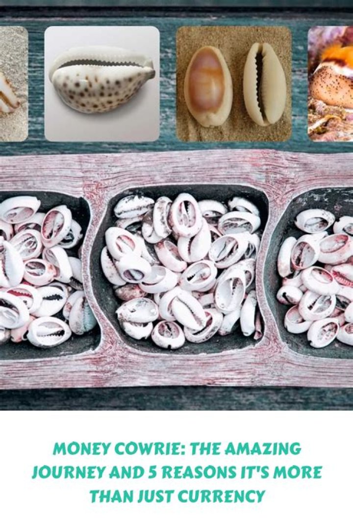 Which country used cowrie shells?