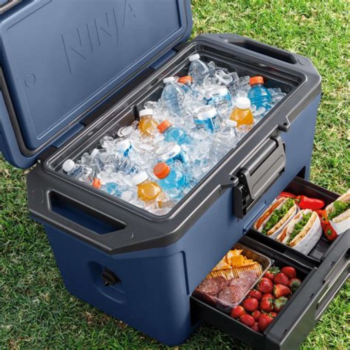 Which ice cooler is the best?