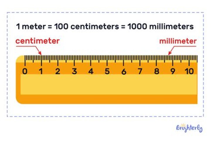 Which is bigger decimeters or metres?