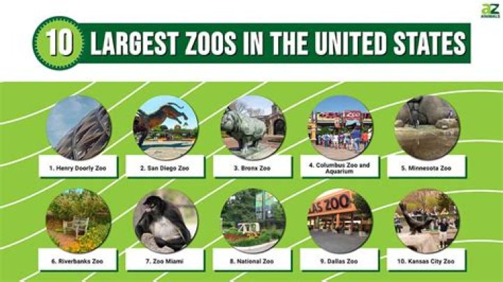 Which zoo is better Toledo or Detroit?