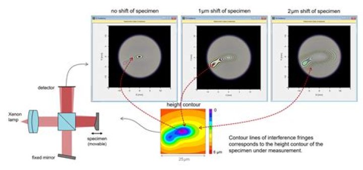 Who invented optical coherence tomography?