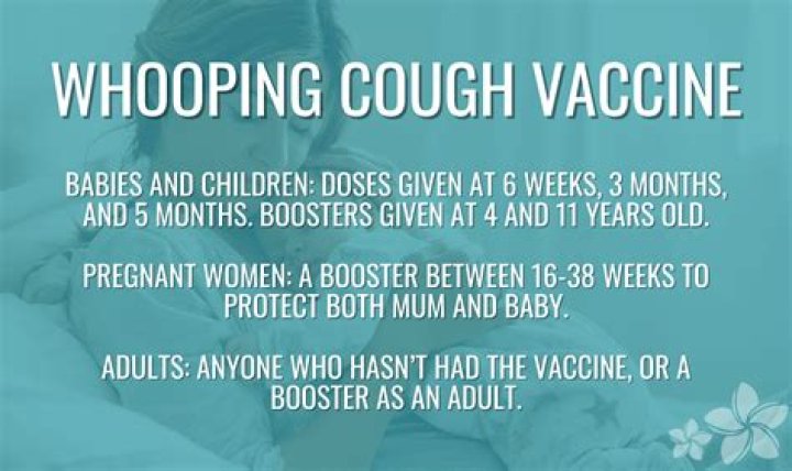 Who invented whooping cough vaccine?