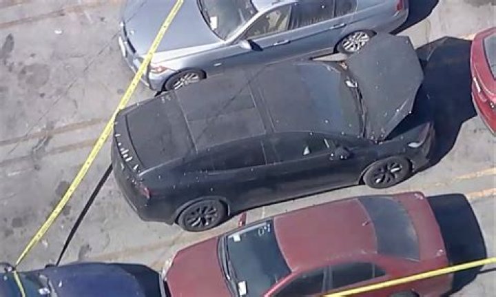 Who owns toretto's house?