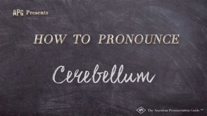 Who to pronounce cerebellum?