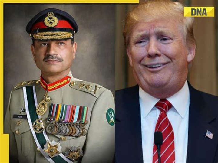 Who was rohilla chief?