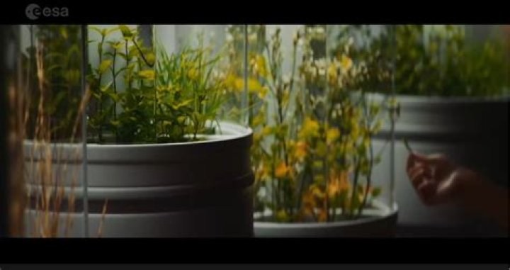 Whos the god of plants?